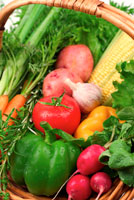 basket of vegetables